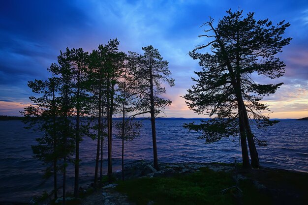 vue sur le lac de la finlande, reflet de l'eau d'été scandinavie