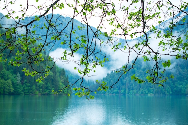 Vue sur le lac Riza. Abkhazie.