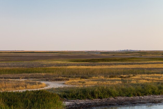 Vue sur le lac Sivash en Ukraine