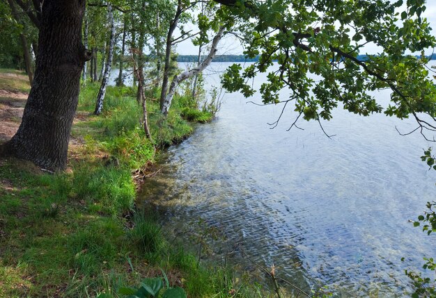 Vue sur le lac à travers les brindilles de chêne d'été
