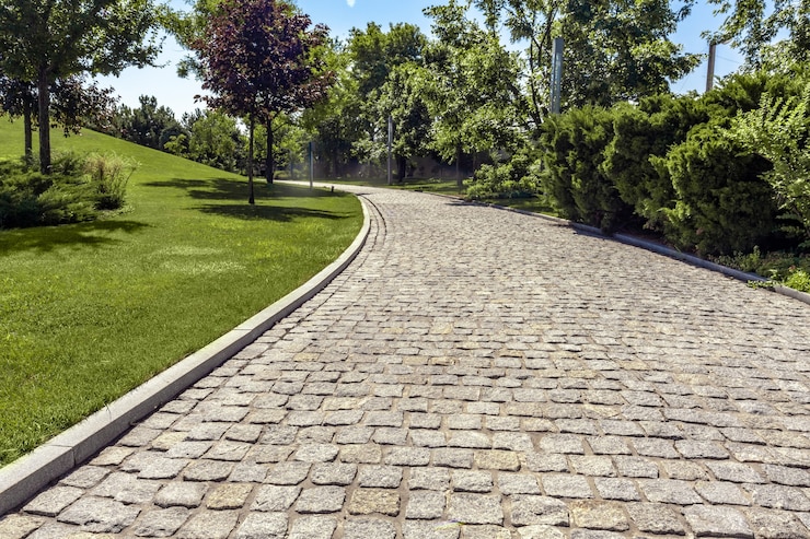 Photo vue sur un large chemin pavé pour la randonnée entouré de buissons verts et d'arbres dans un parc bien entretenu sous le soleil...