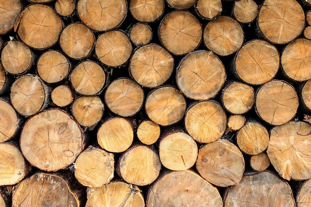 Vue latérale sur les bûches de bois de chauffage empilées.