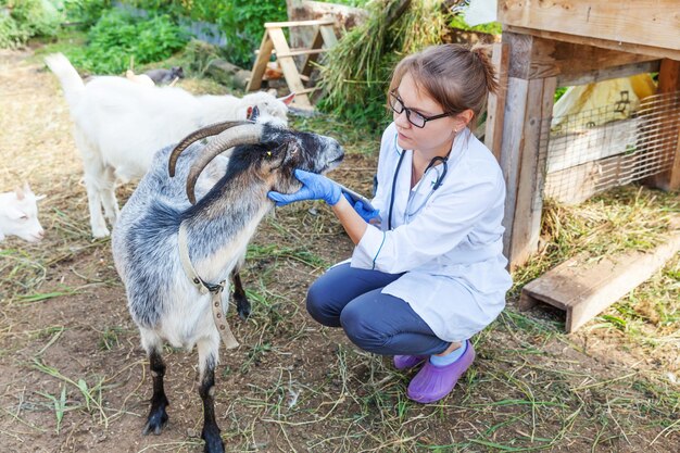 Photo vue latérale d'une femme avec une chèvre sur le champ