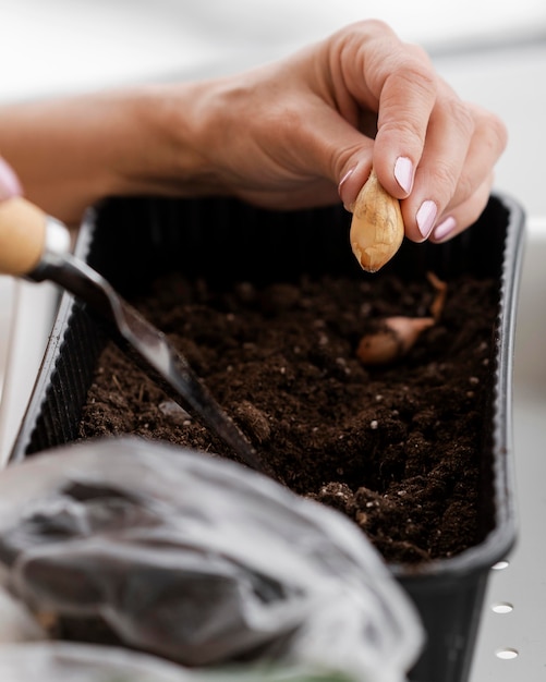 Vue latérale de la femme, planter des graines en pot avec de la terre