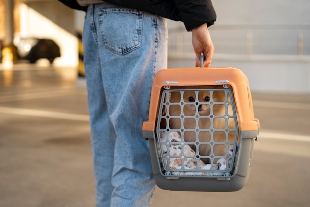 Vue latérale femme avec porte-chien