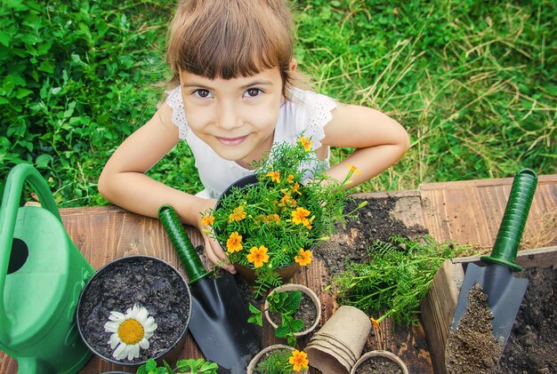 Photo vue latérale d'une femme tenant une plante en pot