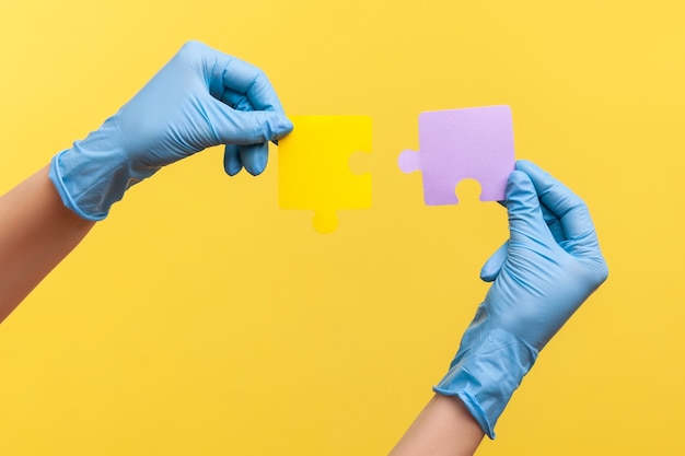 Vue latérale en gros plan de la main humaine dans des gants chirurgicaux bleus tenant des tartes de puzzle jaune et violet.