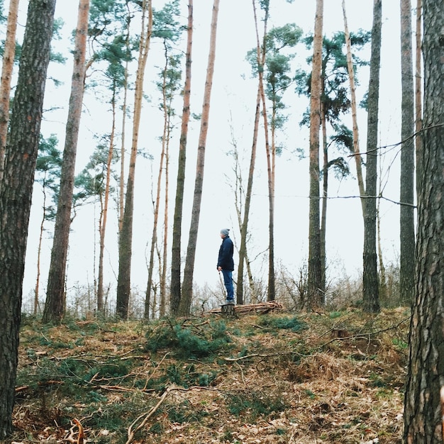 Photo vue latérale d'un homme debout au milieu des arbres dans la forêt