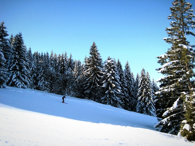 Vue latérale d'un homme en train de skier sur un paysage enneigé