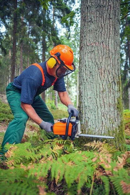Vue latérale d'un homme travaillant dans la forêt