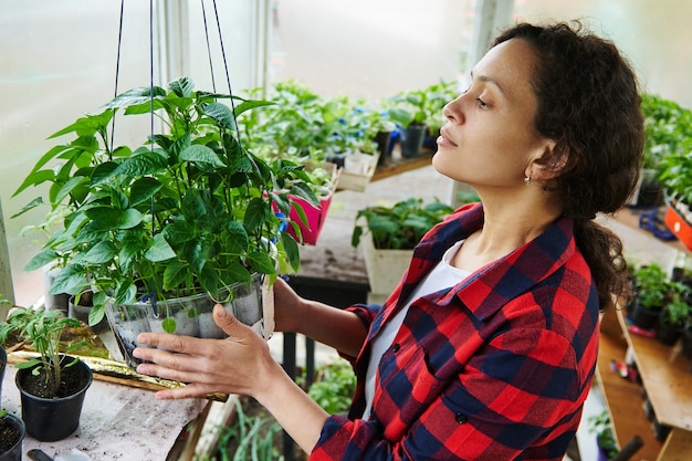 Photo vue latérale d'une jeune jardinière hispanique passant du temps dans une pépinière de serre de pays cultivant des légumes. printemps