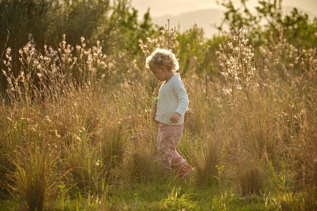 Vue latérale pleine longueur petite fille en pull blanc se promenant sur une pelouse luxuriante abondante dans la nature ensoleillée