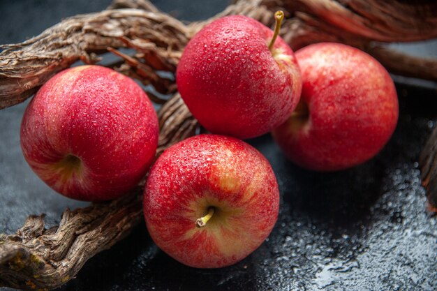 Vue latérale des pommes fraîches et branche d'arbre sur fond de vague sombre