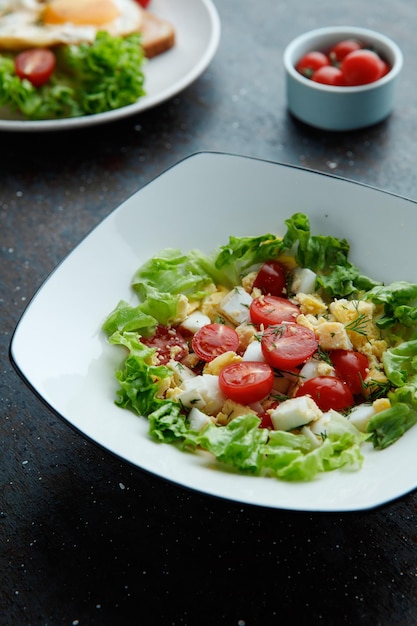 Vue latérale d'une salade de légumes avec de la laitue aux œufs de tomate dans une assiette avec des tomates dans un bol sur fond noir