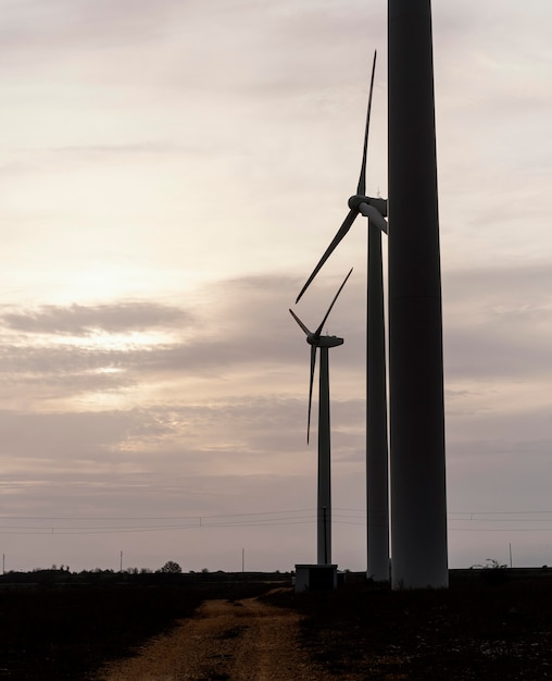 Photo vue latérale des silhouettes d'éoliennes produisant de l'électricité sur le terrain au coucher du soleil