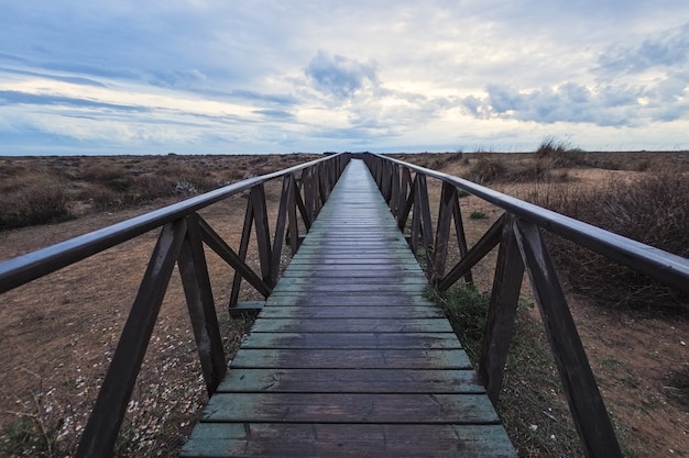 Vue de loin du pont avec chemin en bois