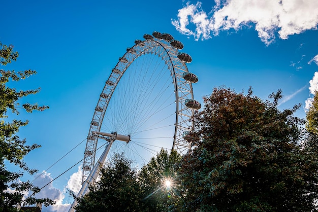 Vue sur le London Eye au coucher du soleil London Eye