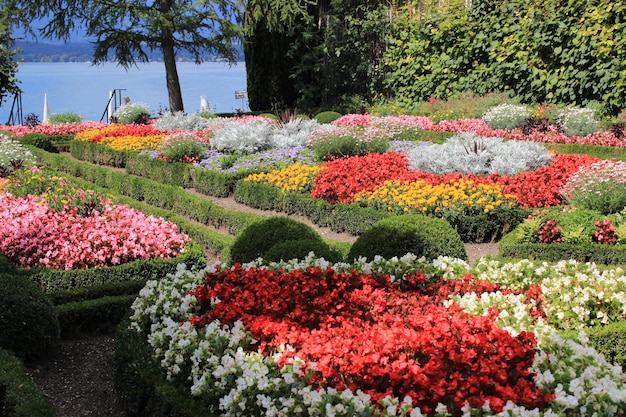 Une vue magnifique des fleurs colorées et des buissons verts capturés près d'un lac