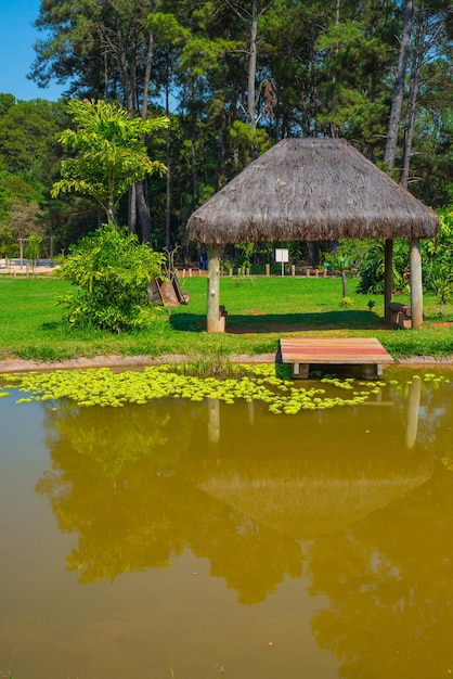 Une vue magnifique sur le jardin botanique situé à Brasilia Brésil