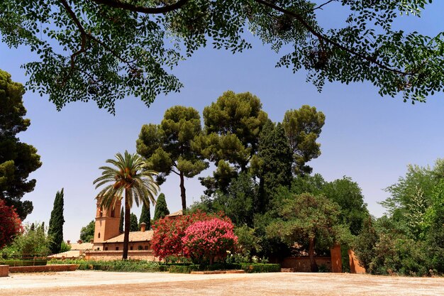 Vue sur un magnifique parc avec des arbres tropicaux, des palmiers, des fleurs contre le ciel bleu. Belle nature