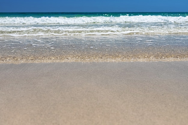 vue magnifique sur la plage