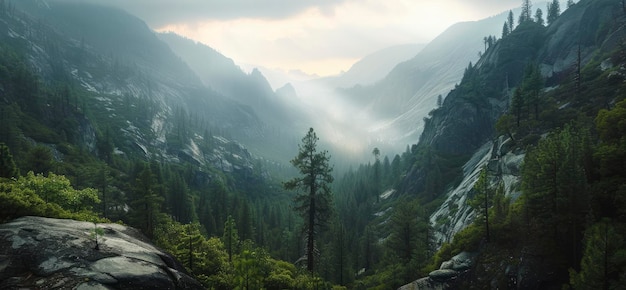 Une vue magnifique sur les sommets des montagnes