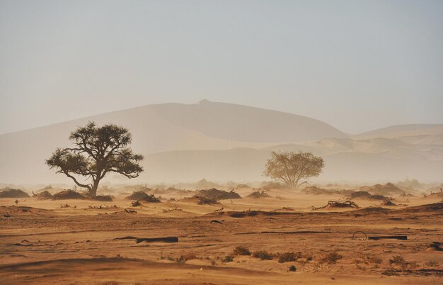 Vue majestueuse à grande distance de paysages étonnants dans le désert africain