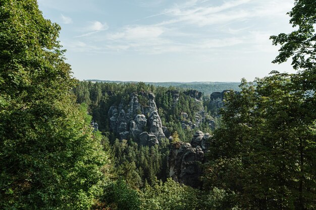 Vue matinale des rochers de grès en Suisse saxonne en été Allemagne Dresden