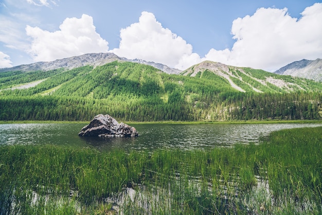 Vue méditative sur beau lac avec pierre dans la vallée par une montagne avec forêt. Paysage verdoyant relaxant pittoresque avec grosse pierre moussue dans le lac de montagne. Lac alpin avec ondulations sur l'eau.