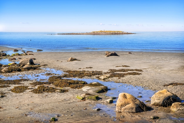 Vue de la mer Blanche sur les îles Solovetsky, une mouette sur les vagues et des pierres sur le rivage dans les rayons du soleil d'automne