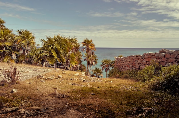 Vue sur la mer des Caraïbes filtrée par un jardin avec palmiers et mur de pierre.