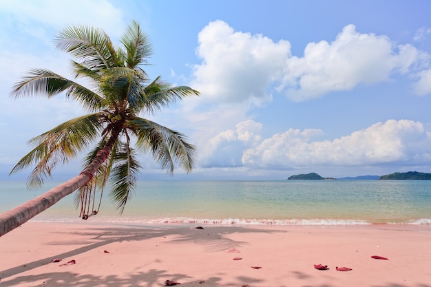 Vue sur mer avec cocotier