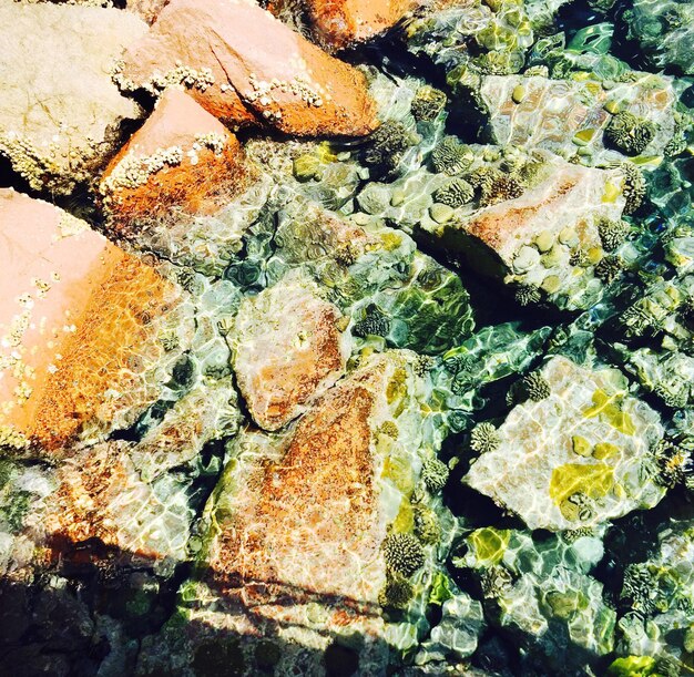 Vue de la mer sous un angle élevé