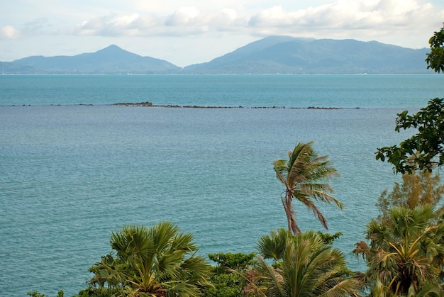 Vue mer tropicale