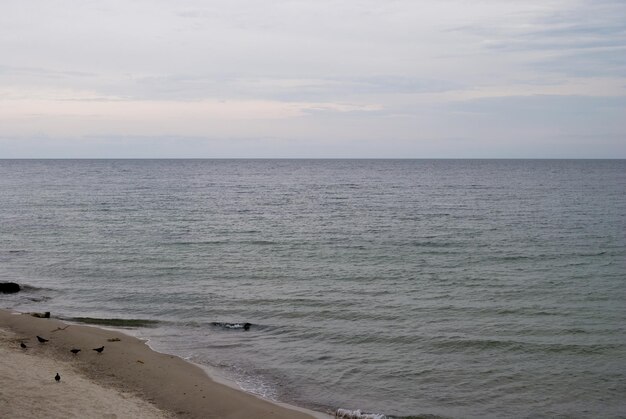 Photo vue sur la mer vide