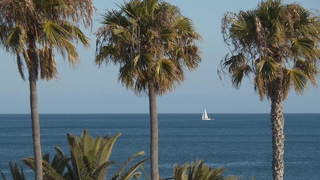 Une vue sur la mer avec une voile blanche