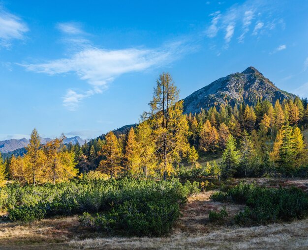 Vue sur la montagne des Alpes d'automne paisible Reiteralm Steiermark Autriche