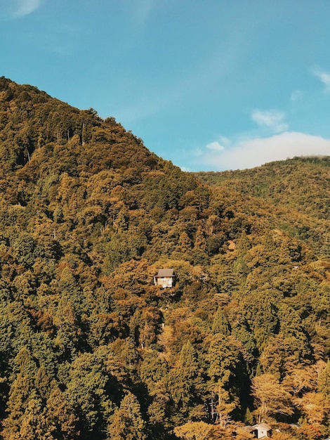 Photo vue de la montagne d'arbres contre le ciel pendant une journée ensoleillée