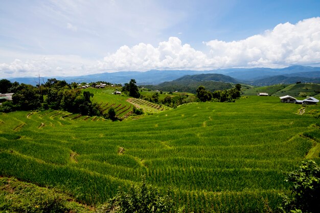 Vue sur la montagne au sommet de la montagne à Ban Pa Pong Piengin Thaïlande