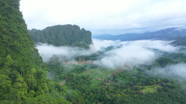 Vue de la montagne au village brouillard campagne montagnes Thaïlande