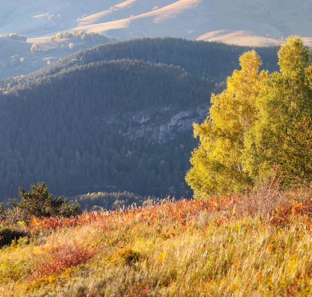 Vue sur la montagne automne