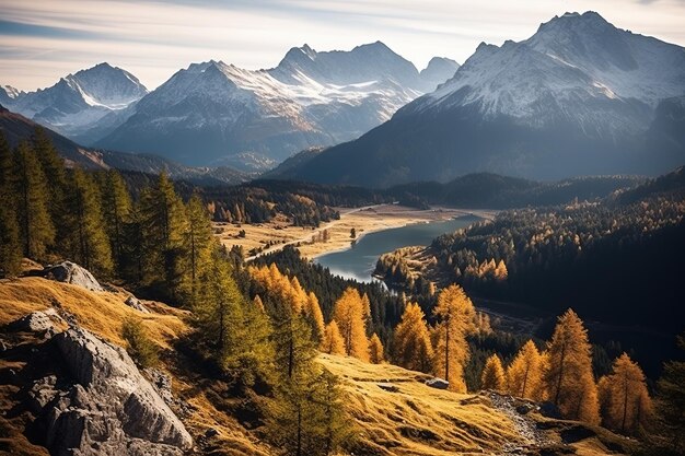 Vue sur la montagne en automne