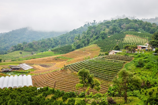 Photo vue sur la montagne et beau village rural le matin avec du brouillard dans le district de mae rim chiang mai thaïlande