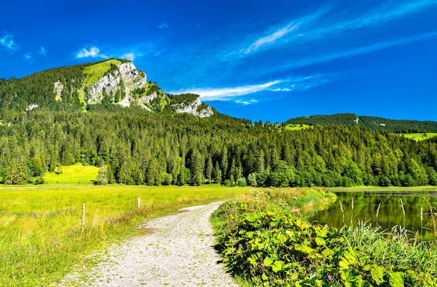 Vue sur la montagne Brunnelistock au lac Obersee dans les Alpes Suisses