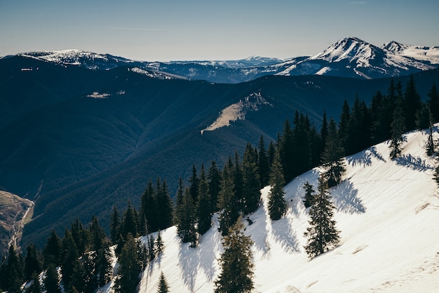 Une vue sur une montagne couverte de neige