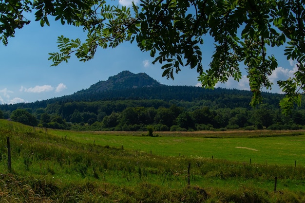 Une vue d'une montagne depuis la forêt