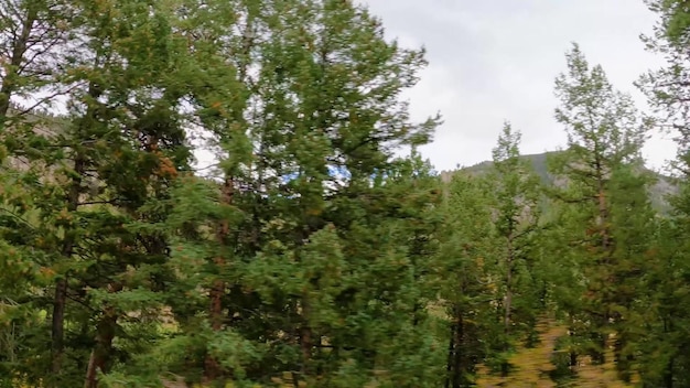 Une vue sur la montagne depuis le sentier