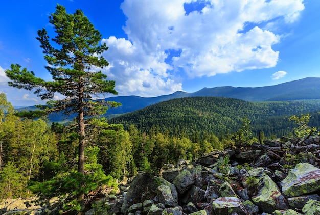 Vue sur la montagne d'été Carpates Ukraine