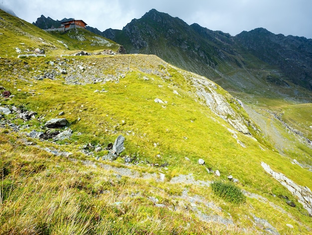 Vue Sur La Montagne D'été Depuis La Route Transfagarasan