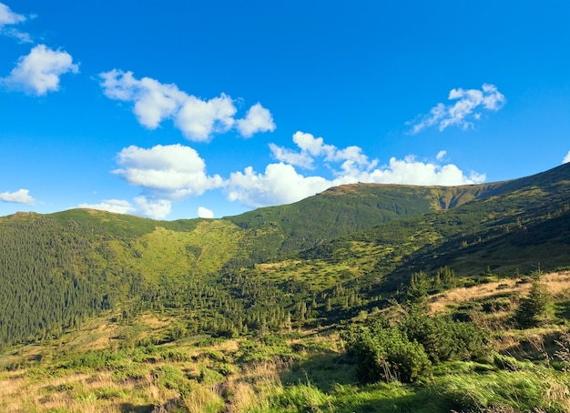 Vue sur la montagne d'été avec forêt de conifères